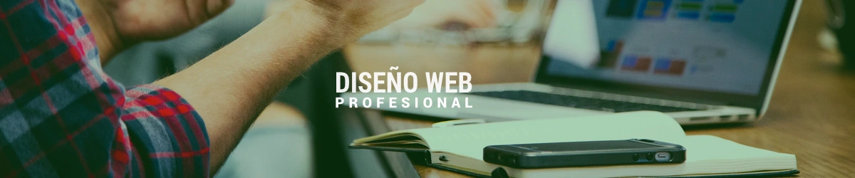 Diseño de páginas web profesional