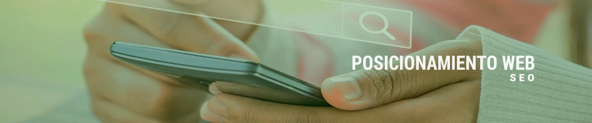 Posicionamiento web seo